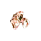+8 Stone (B)